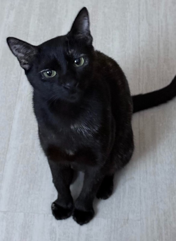 purujit1912 uploaded   143  day/s  ago