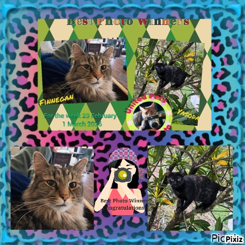 Yasoda of the purujit1912 family