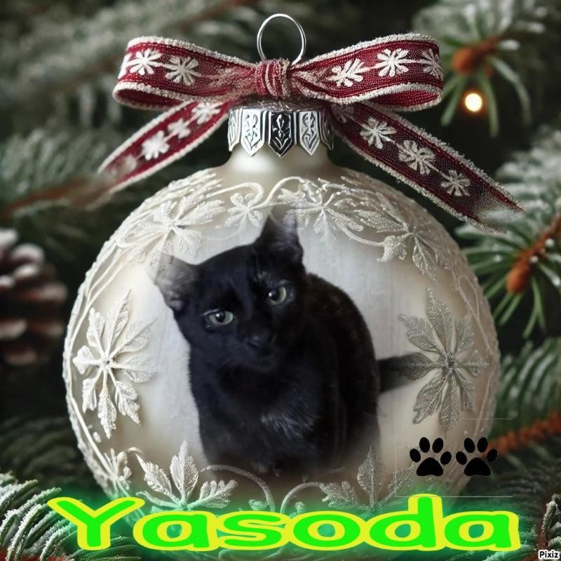 Yasoda of the purujit1912 family