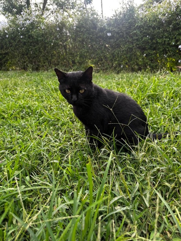 purujit1912 uploaded   143  day/s  ago