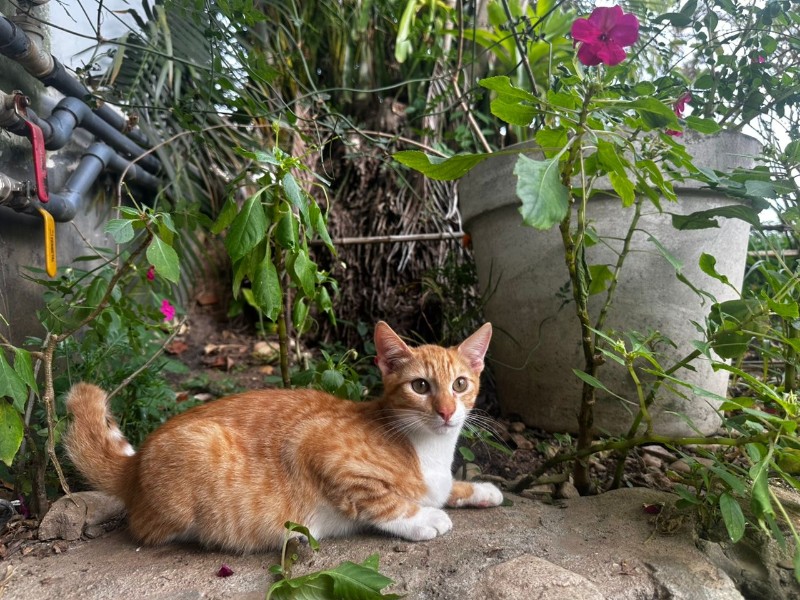 purujit1912 uploaded   143  day/s  ago