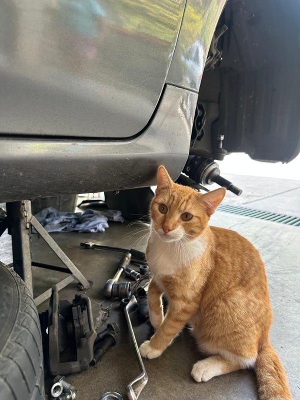 purujit1912 uploaded   53  day/s  ago