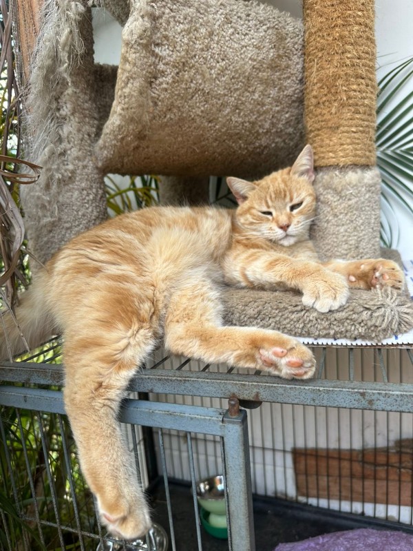 purujit1912 uploaded   53  day/s  ago