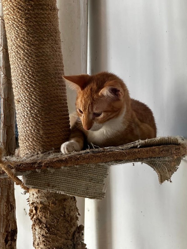 purujit1912 uploaded   143  day/s  ago