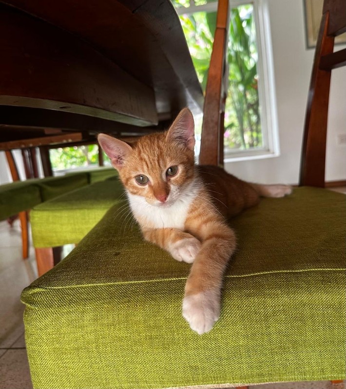 purujit1912 uploaded   178  day/s  ago