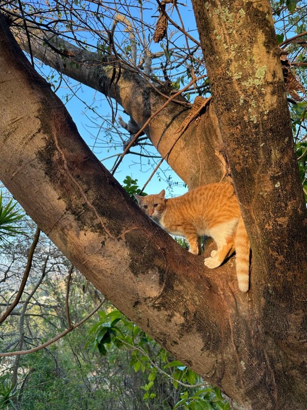 purujit1912 uploaded   41  day/s  ago