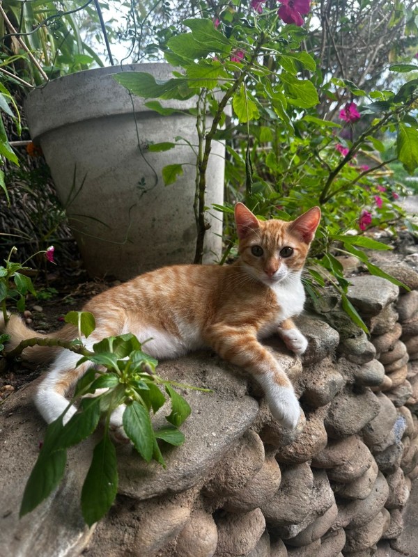 purujit1912 uploaded   143  day/s  ago