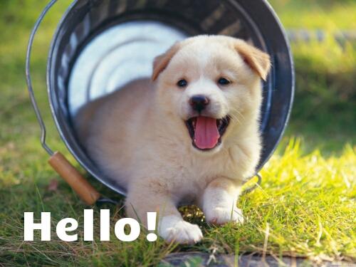 Floyd of the testtest family