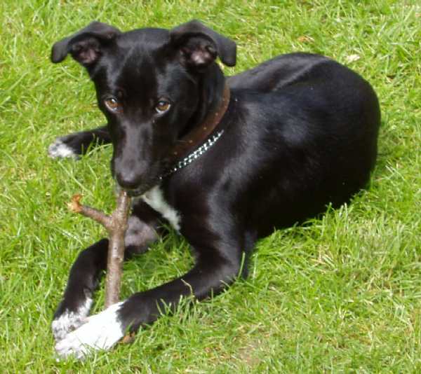 testtest uploaded   92  day/s  ago