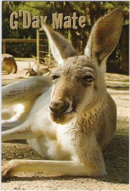 Floyd of the testtest family