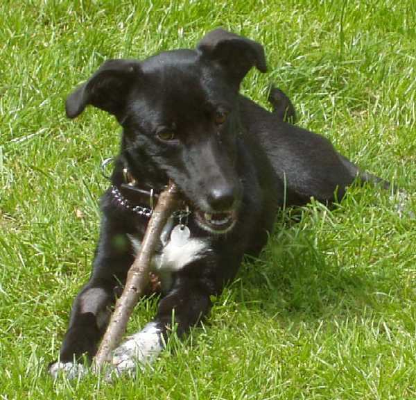 testtest uploaded   92  day/s  ago