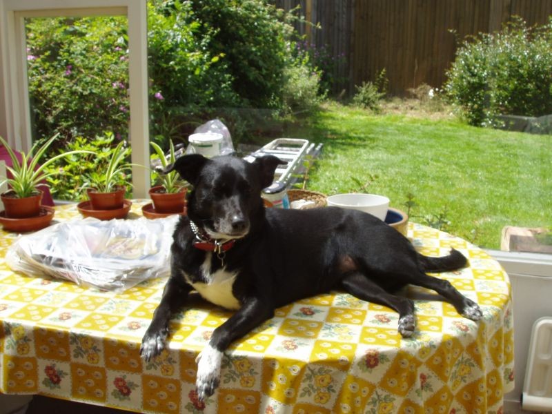 Floyd of the testtest family