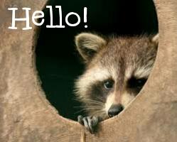 Floyd of the testtest family