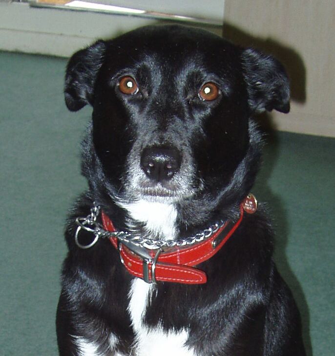 testtest uploaded   86  day/s  ago