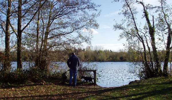 Floyd of the testtest family