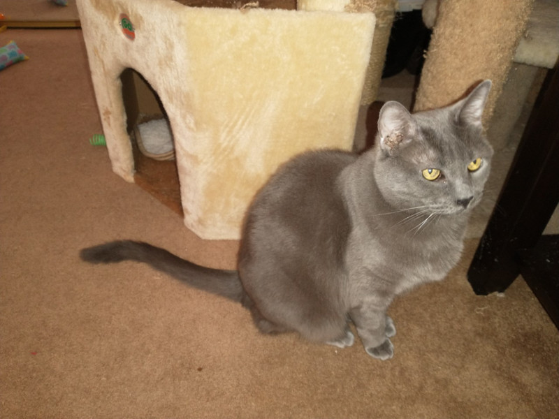 thebugster08 uploaded   207  day/s  ago