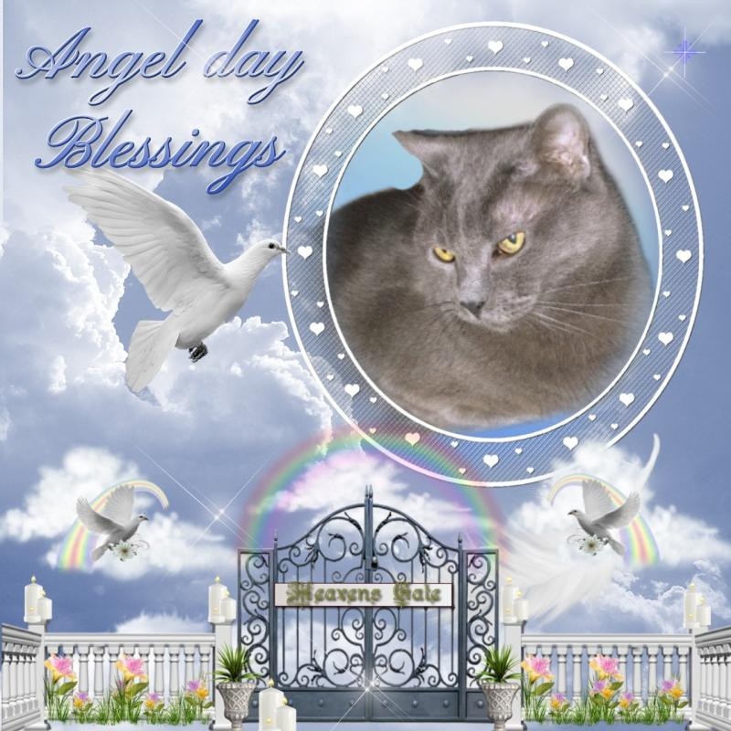 Bugsy of the thebugster08 family