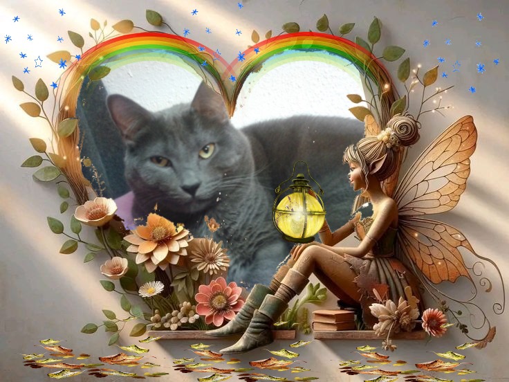 Bugsy of the thebugster08 family