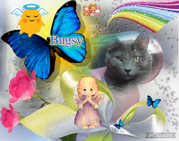 Bugsy of the thebugster08 family