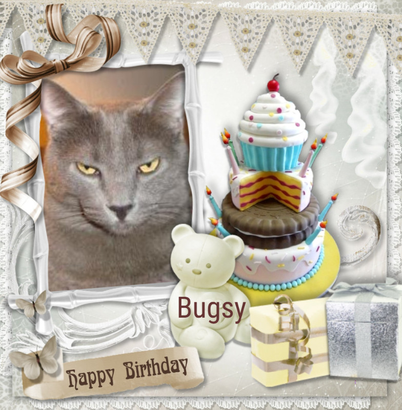 Bugsy of the thebugster08 family