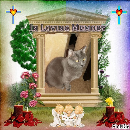 Bugsy of the thebugster08 family