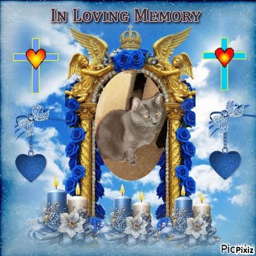 Bugsy of the thebugster08 family