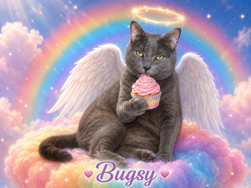 Bugsy of the thebugster08 family