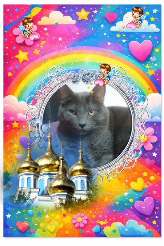 Bugsy of the thebugster08 family