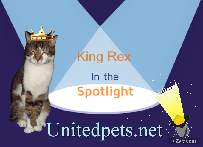 King Rex of the thebugster08 family