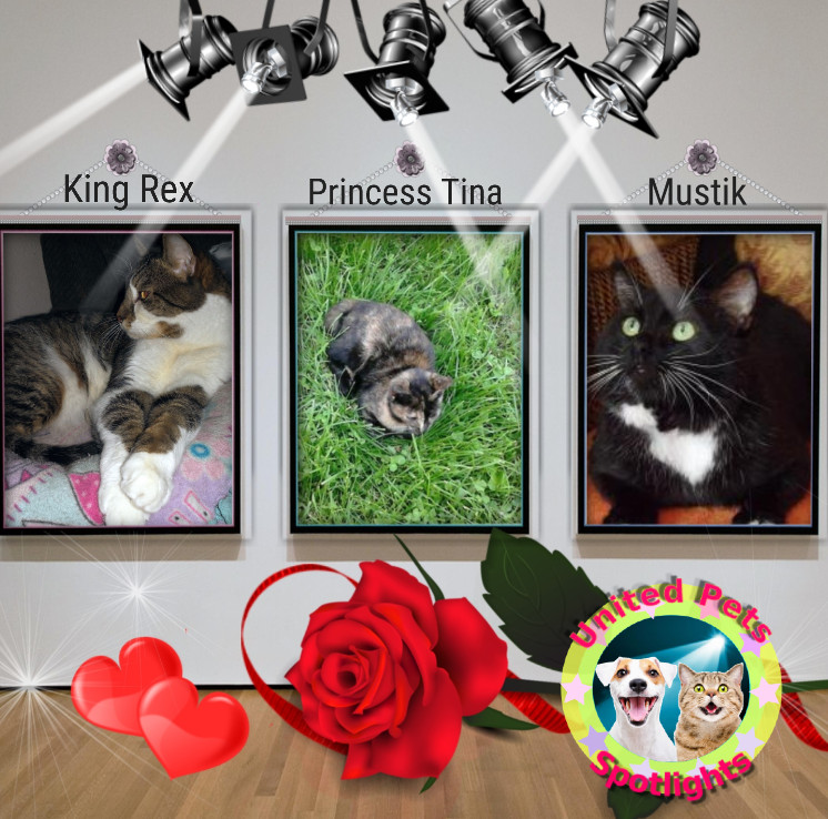 King Rex of the thebugster08 family