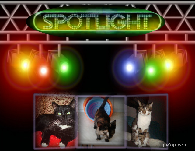 King Rex of the thebugster08 family