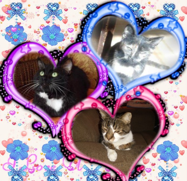 King Rex of the thebugster08 family