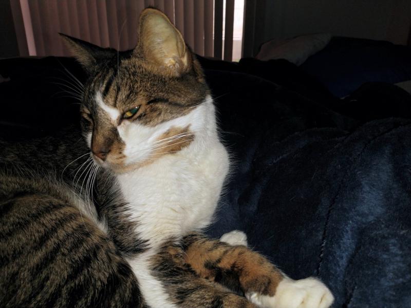 thebugster08 uploaded   207  day/s  ago