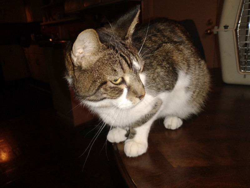 thebugster08 uploaded   207  day/s  ago