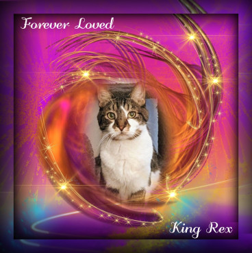 King Rex of the thebugster08 family