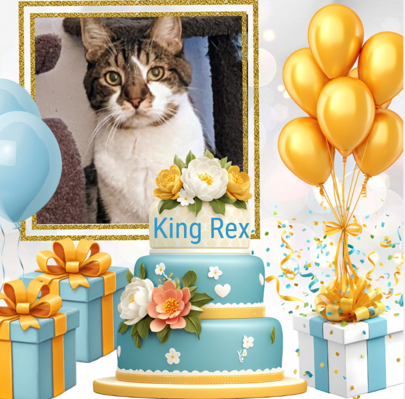 thebugster08 uploaded   11  day/s  ago