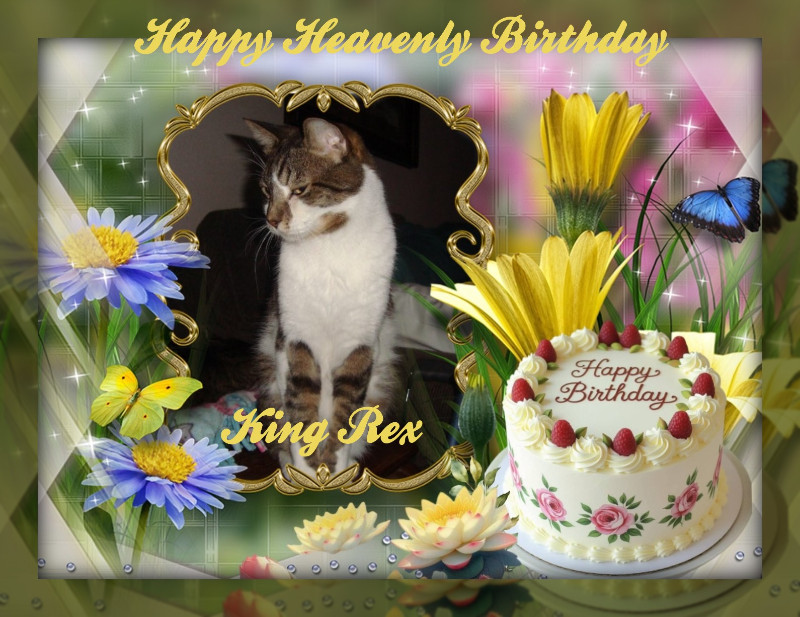 thebugster08 uploaded   10  day/s  ago