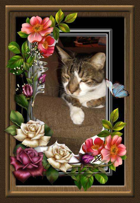 thebugster08 uploaded   9  day/s  ago