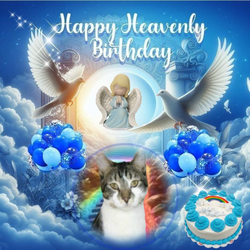 thebugster08 uploaded   11  day/s  ago