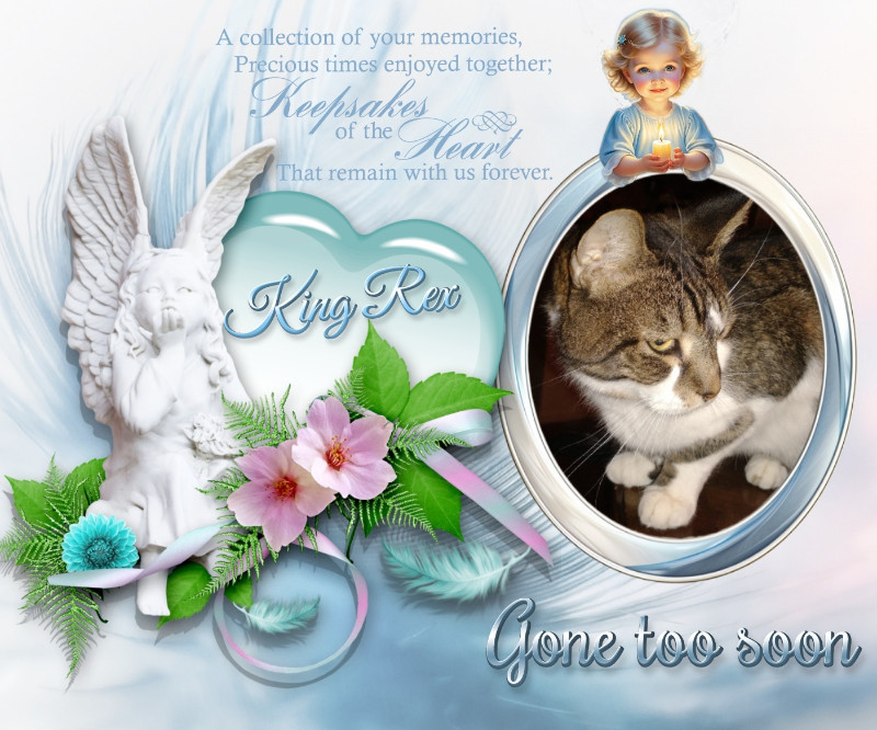 King Rex of the thebugster08 family