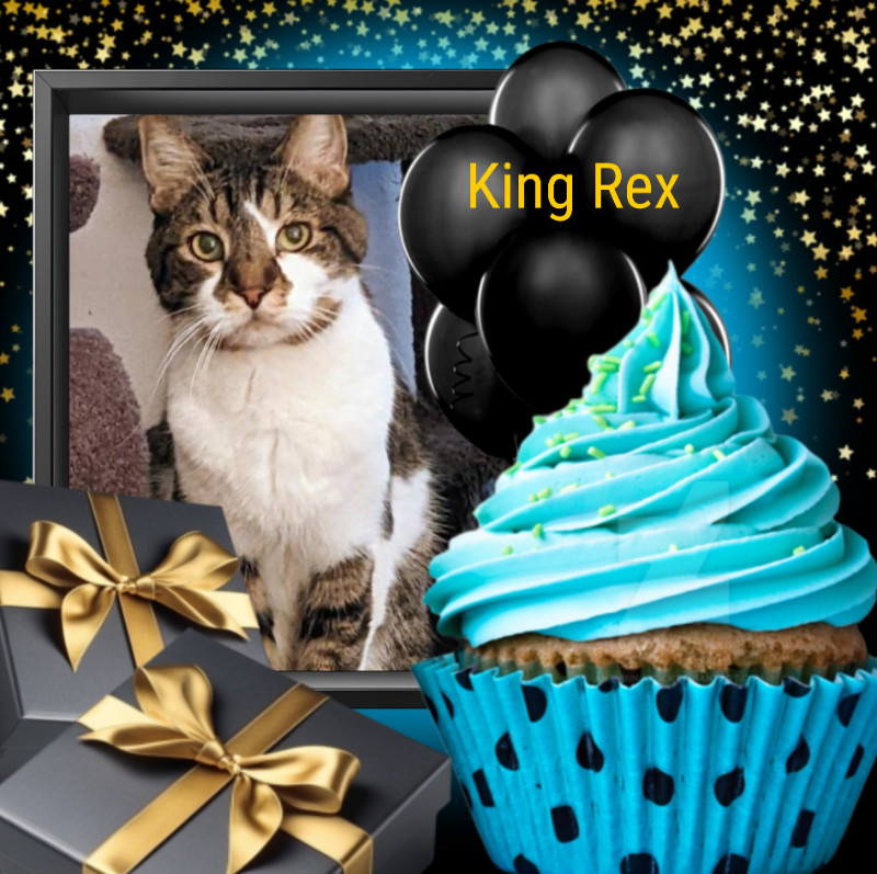 thebugster08 uploaded   11  day/s  ago