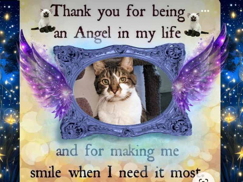 King Rex of the thebugster08 family