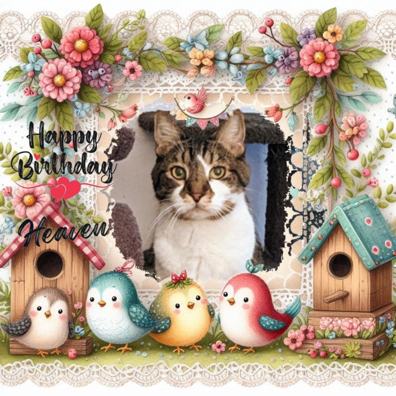 thebugster08 uploaded   9  day/s  ago