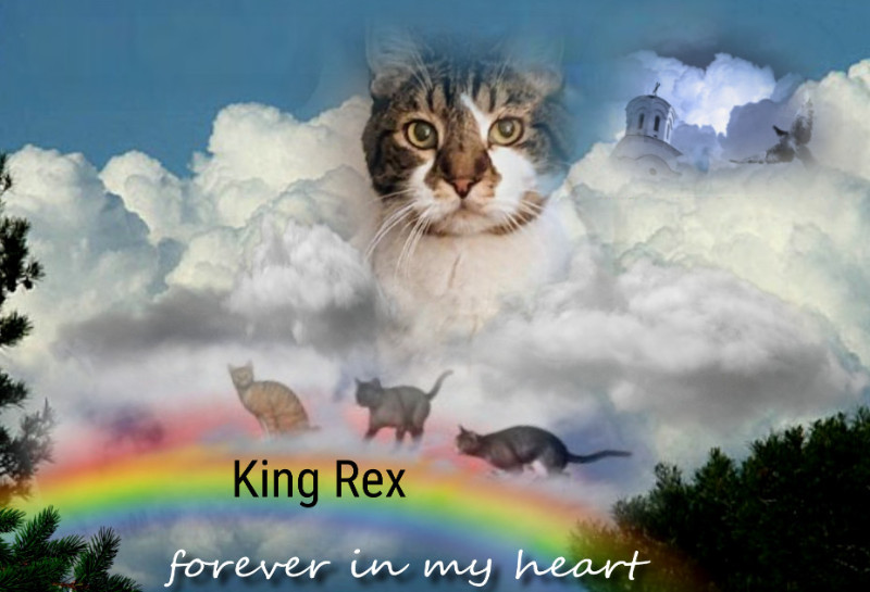 thebugster08 uploaded   52  day/s  ago