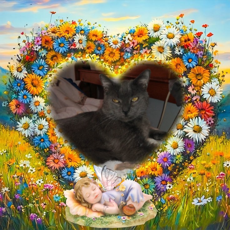 Smokey Jay of the thebugster08 family