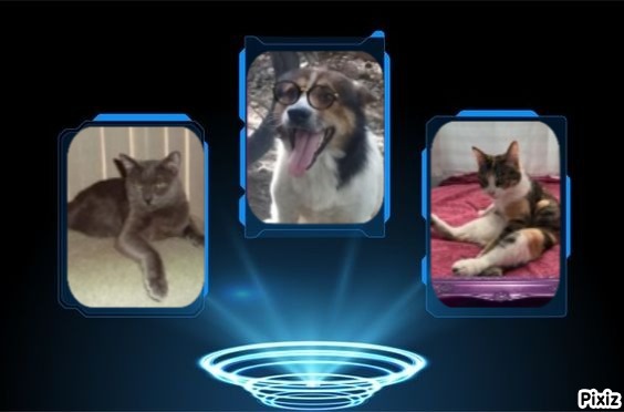 Smokey Jay of the thebugster08 family