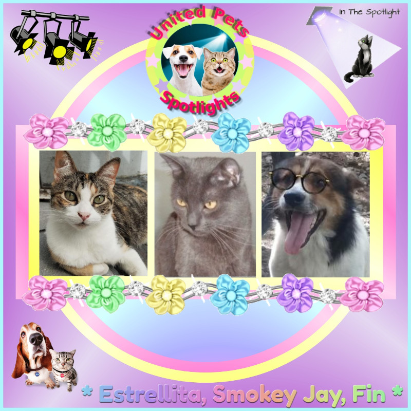 Smokey Jay of the thebugster08 family