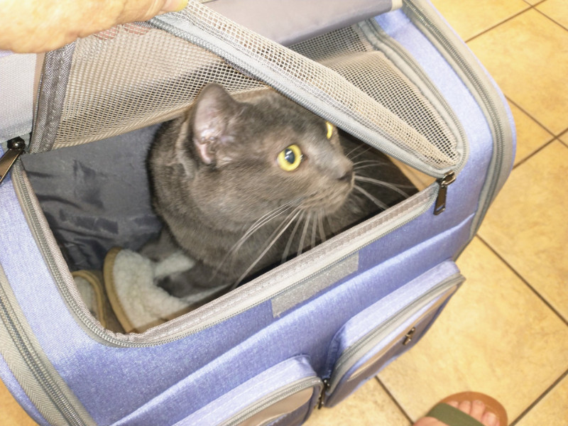 thebugster08 uploaded   207  day/s  ago