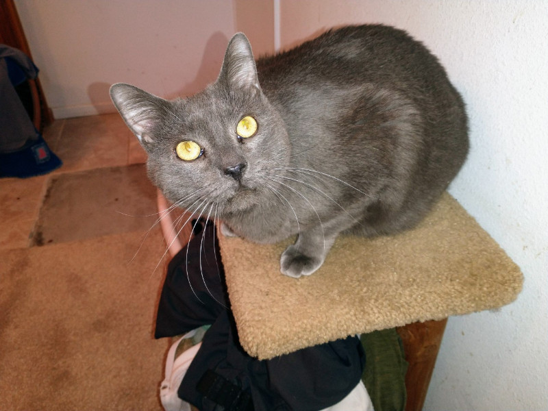 thebugster08 uploaded   207  day/s  ago