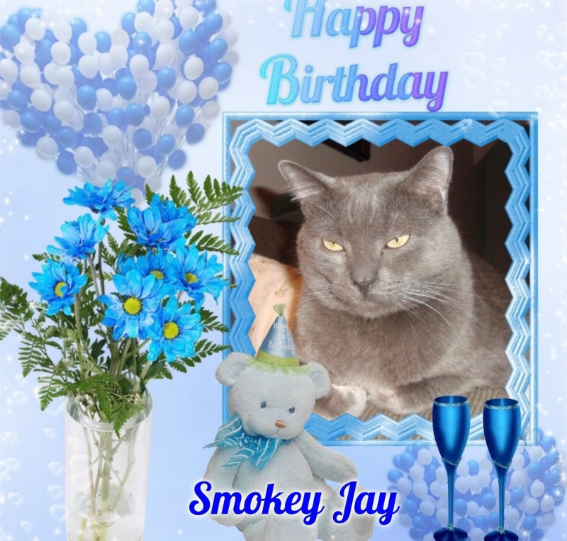 Smokey Jay of the thebugster08 family